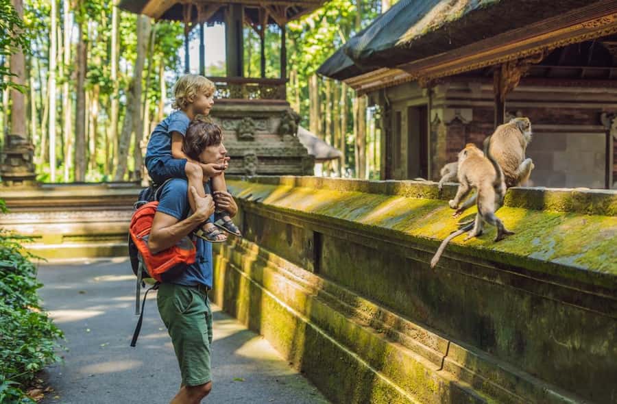 Bali: Customized Private Car Charter with Optional Guide - Who will get the most from this charter