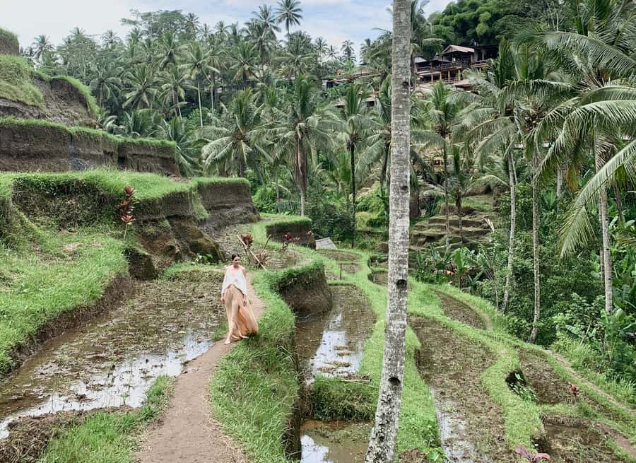 Bali: Customized Private Tour with a Female Guide - Traffic, weather, clothing, and practical limits