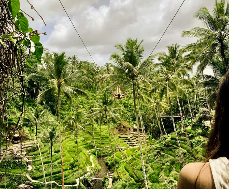 Bali: Customized Private Tour with a Female Guide - What the $24 price really gives you