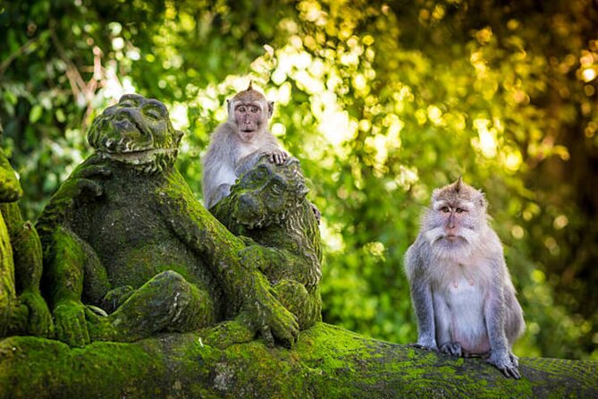Bali Customized Private Tour - Meeting your driver in Seminyak