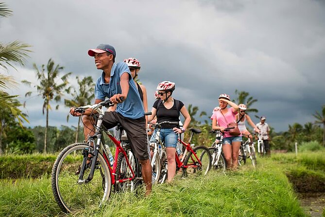 Bali Cycling and Ubud Waterfall Tour - Ubud Monkey Forest: famous, leafy, and busy