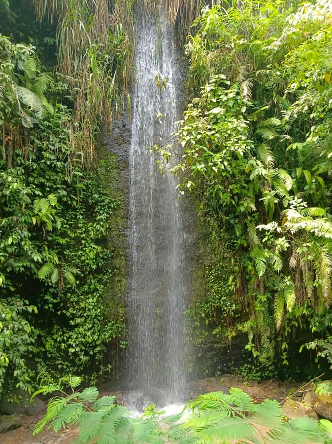 Bali : Day Trip to Besakih Temple & 2 Hidden Waterfalls - Why Besakih makes this more than a waterfall outing