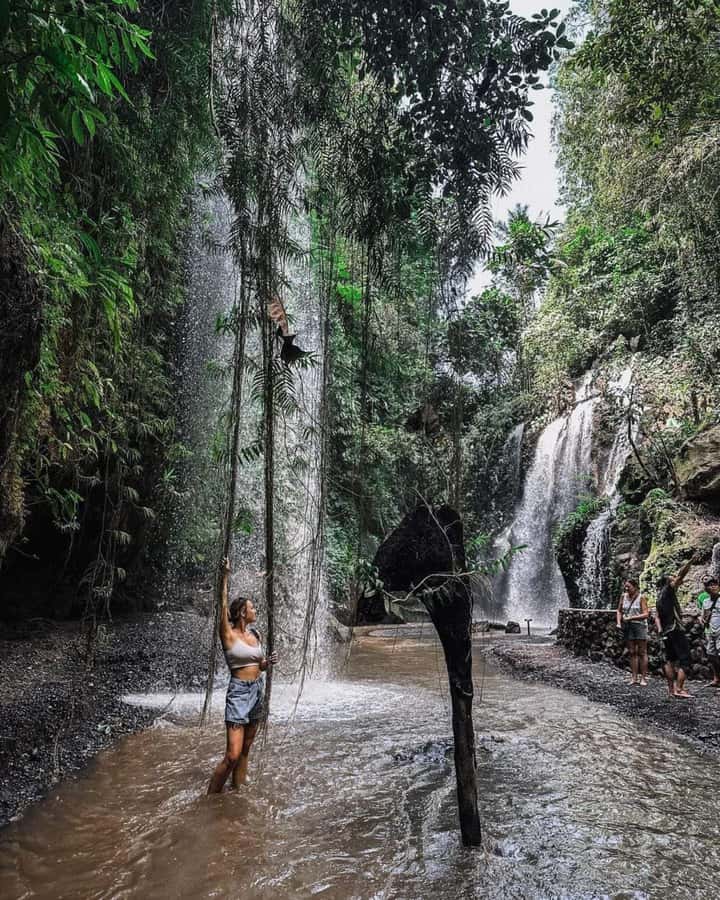Bali : Day Trip to Besakih Temple & 2 Hidden Waterfalls - Lunch and the Luwak coffee stop