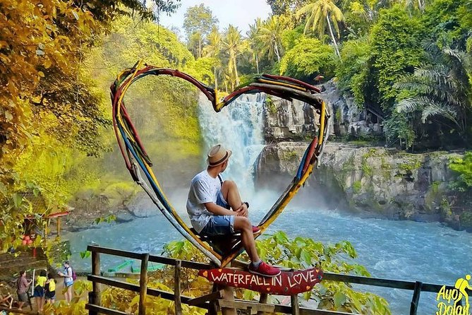 Bali Day Trip to Ubud Highlight Tour and Tanah Lot Temple - What the private car and guide add