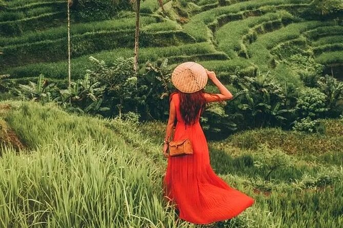 Bali Day Trip to Ubud Highlight Tour and Tanah Lot Temple - Is $85 good value from Seminyak?