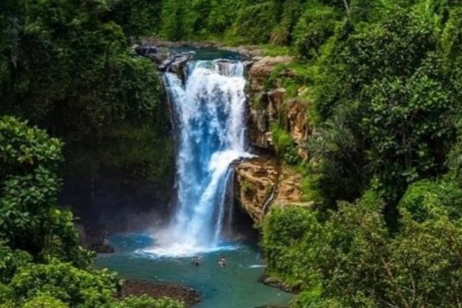 Bali Day Trip to Ubud Highlight Tour and Tanah Lot Temple - Who will get the most from this tour?