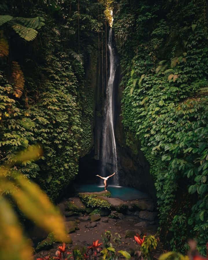 Bali: Discover Jungle Waterfalls and Rice Terraces - At a glance