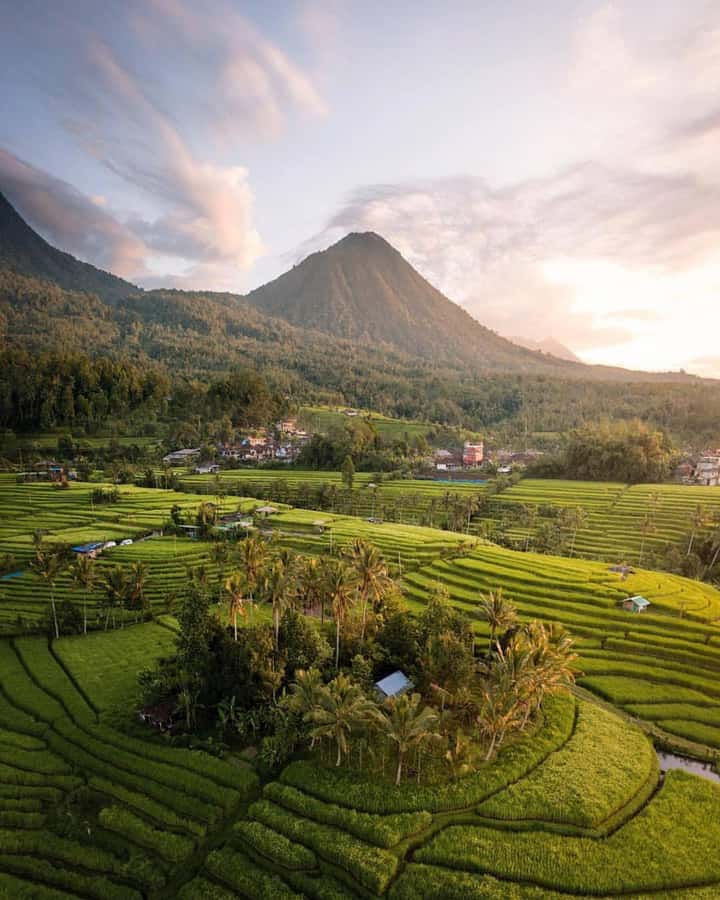 Bali: Discover Jungle Waterfalls and Rice Terraces - Is $35 good value?