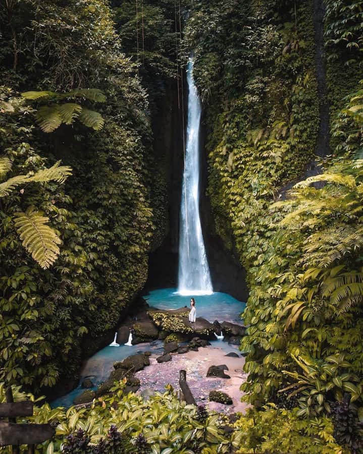 Bali: Discover Jungle Waterfalls and Rice Terraces - Why this waterfall day works