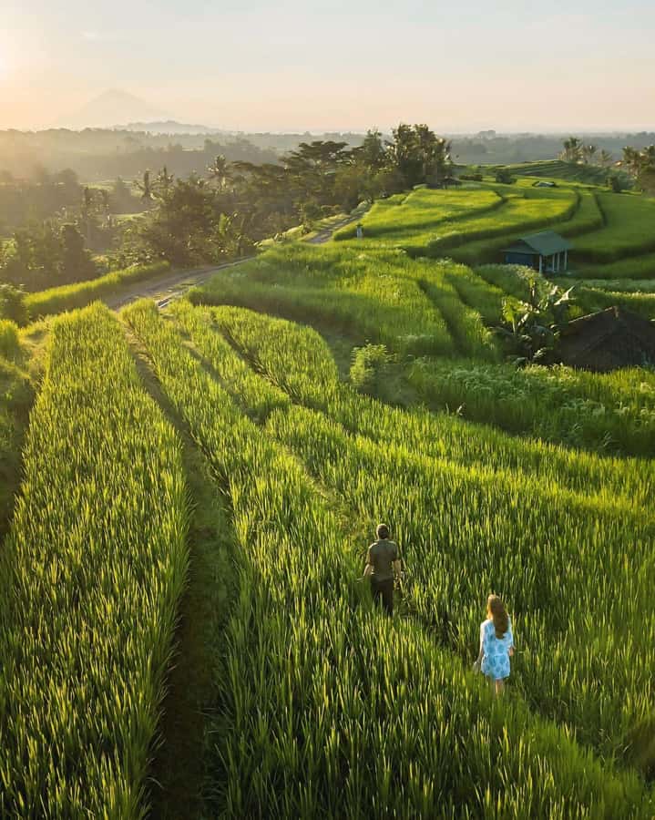 Bali: Discover Jungle Waterfalls and Rice Terraces - Goa Gong: the most unusual stop