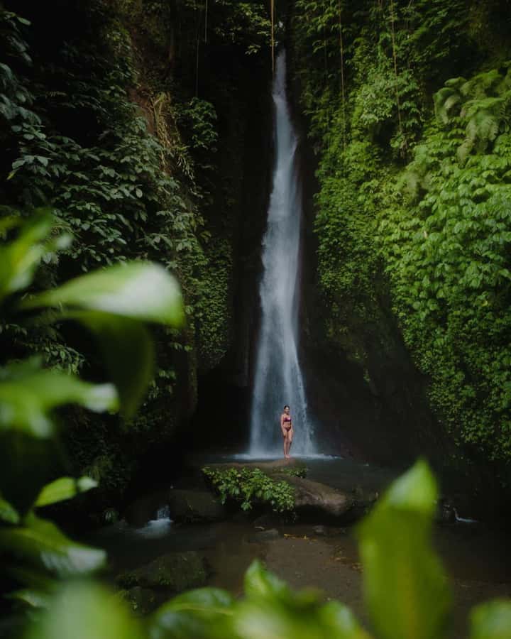 Bali: Discover Jungle Waterfalls and Rice Terraces - Jatiluwih: rice farming on a grand scale