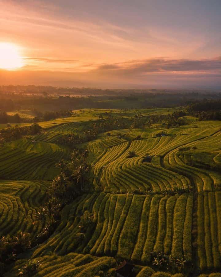Bali: Discover Jungle Waterfalls and Rice Terraces - Eight hours, early starts, and Bali traffic