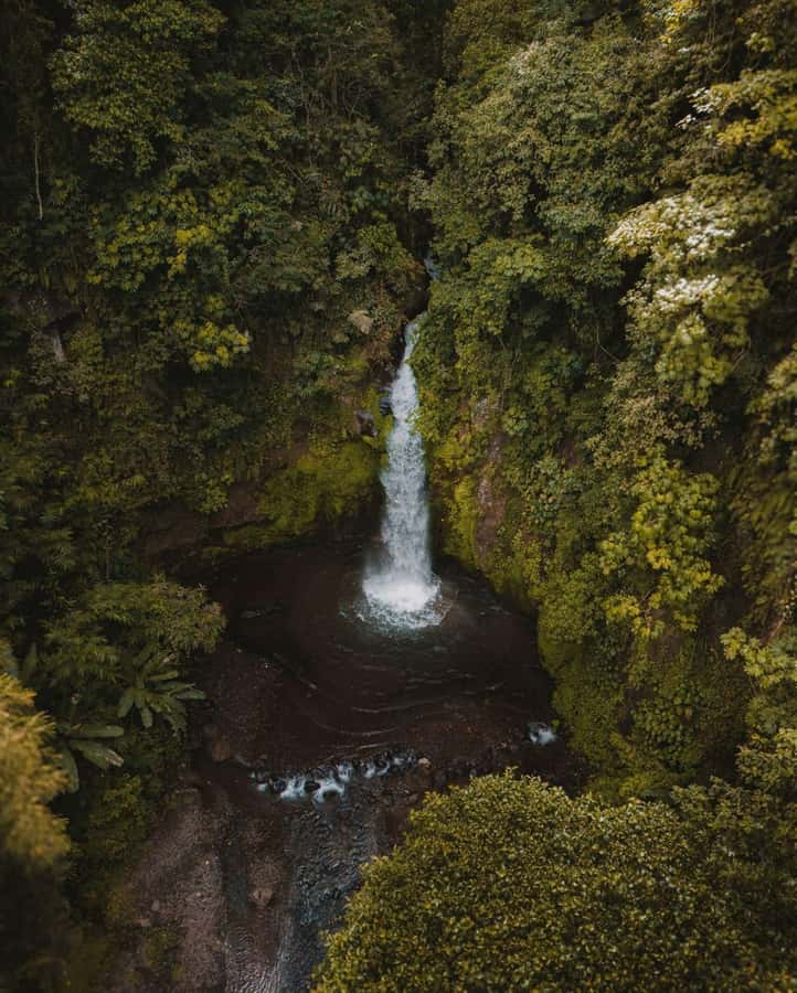 Bali: Discover Jungle Waterfalls and Rice Terraces - Nungnung Waterfall: a loud and rewarding start