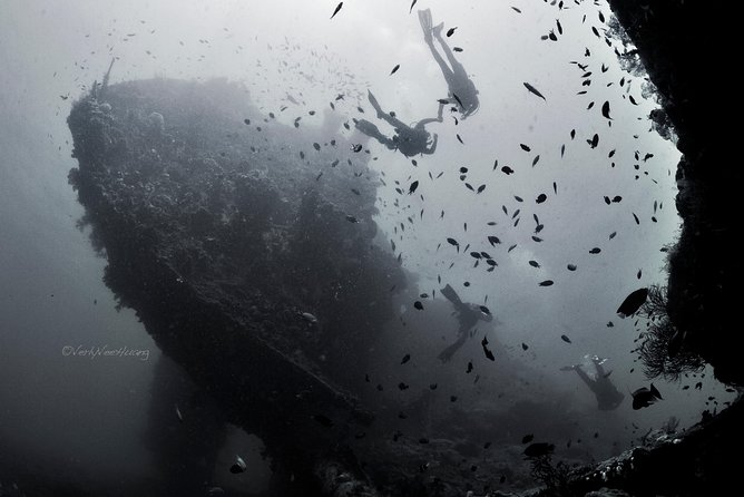 Bali Diving Day Trip-Manta Point/Tulamben Shipwreck-Fun Dive - From Seminyak to Sanur, then east to Tulamben