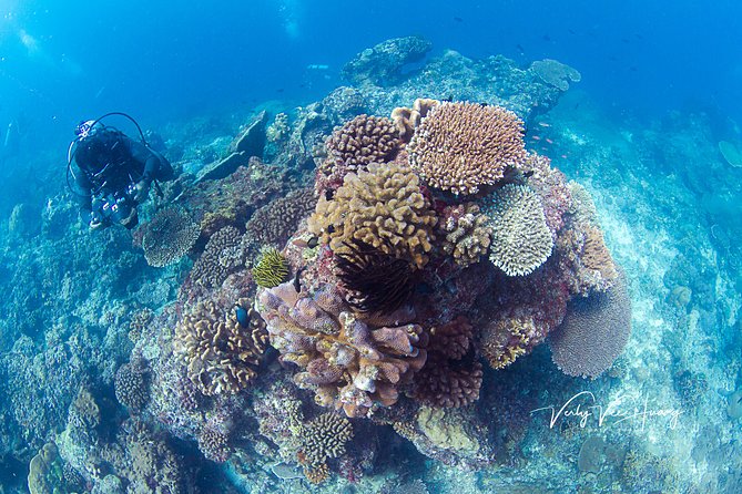 Bali Diving Day Trip-Manta Point/Tulamben Shipwreck-Fun Dive - Getting ready with a small group