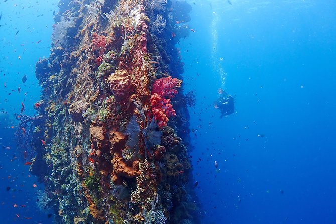 Bali Diving for Beginners: Tulamben Liberty Wreck - The Rest Period at the Center