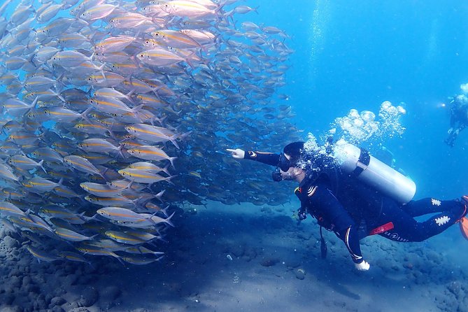 Bali Diving for Beginners: Tulamben Liberty Wreck - Exploring the USAT Liberty Wreck