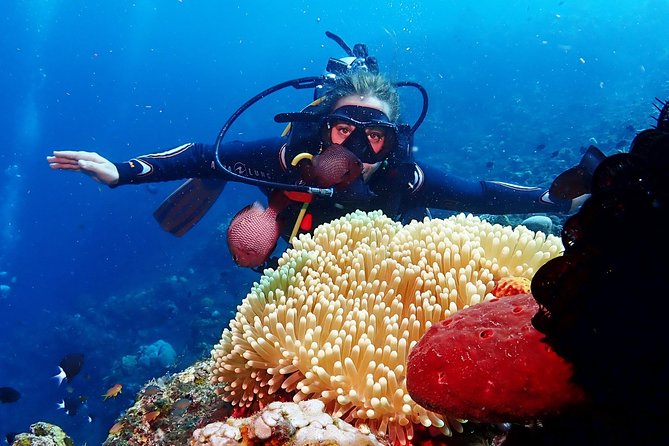 Bali Diving for Beginners: Tulamben Liberty Wreck - Health Rules and Flight Timing