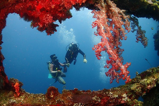 Bali Diving for Beginners: Tulamben Liberty Wreck - Who Will Get the Most From This Experience
