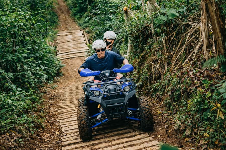 Bali: Dolphin Swimming Tour with ATV Quad Bike & Waterfall - Lovina Before Sunrise: Dolphins in Open Water