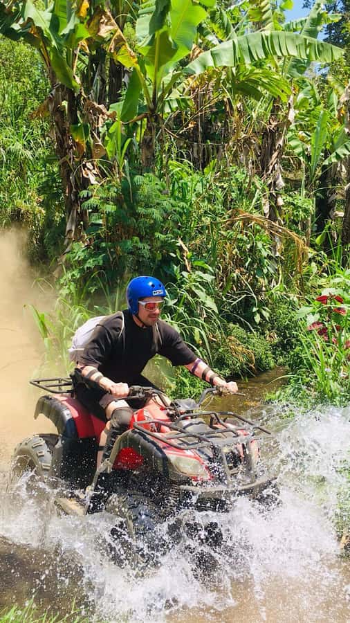 Bali: Dolphin Swimming Tour with ATV Quad Bike & Waterfall - Is $81 Good Value for a North Bali Day?