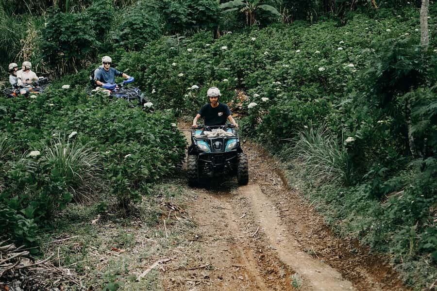 Bali: Dolphin Swimming Tour with ATV Quad Bike & Waterfall - Who Will Enjoy This Tour Most?