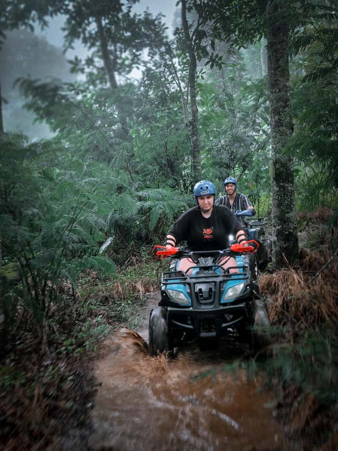 Bali: Dolphin Swimming Tour with ATV Quad Bike & Waterfall - Should You Book the Dolphin, ATV, and Waterfall Combination?