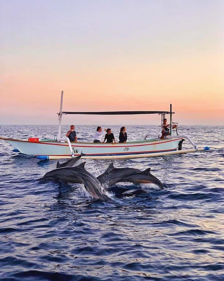 Bali: Dolphin Watching, Snorkeling, and Munduk Day Tour - Why This Northern Bali Day Works