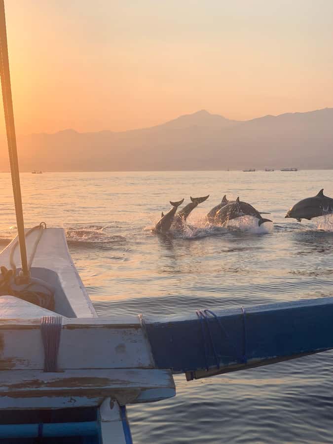 Bali: Dolphin Watching, Snorkeling, and Munduk Day Tour - Brahmavihara Arama and Northern Bali’s Quiet Side