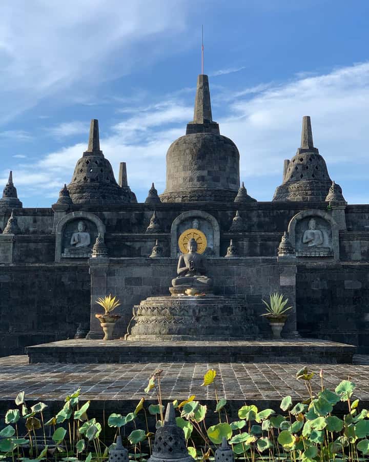 Bali: Dolphin Watching, Snorkeling, and Munduk Day Tour - The Guides and the Value of a Private Pace