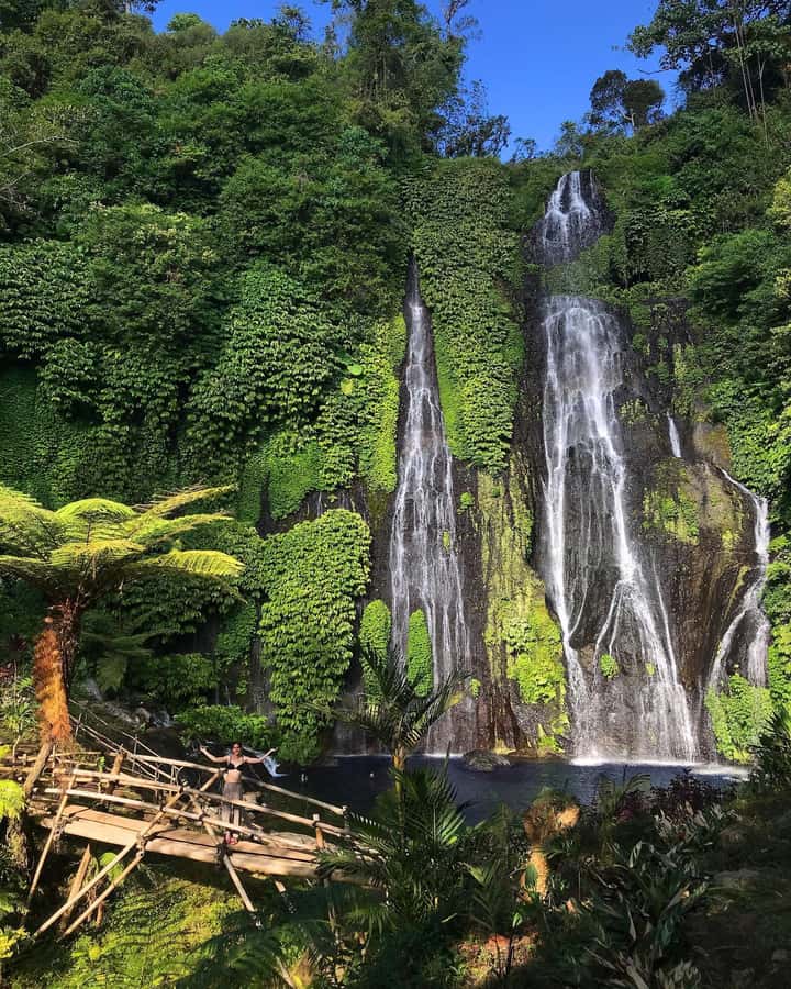 Bali: Dolphin Watching, Snorkeling, and Munduk Day Tour - Who Should Book This Tour?