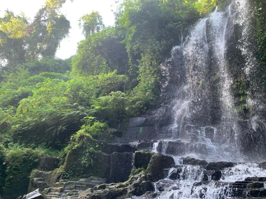 Bali: East Bali Day Trip with Temesi Waterfall - What the driver-guide adds