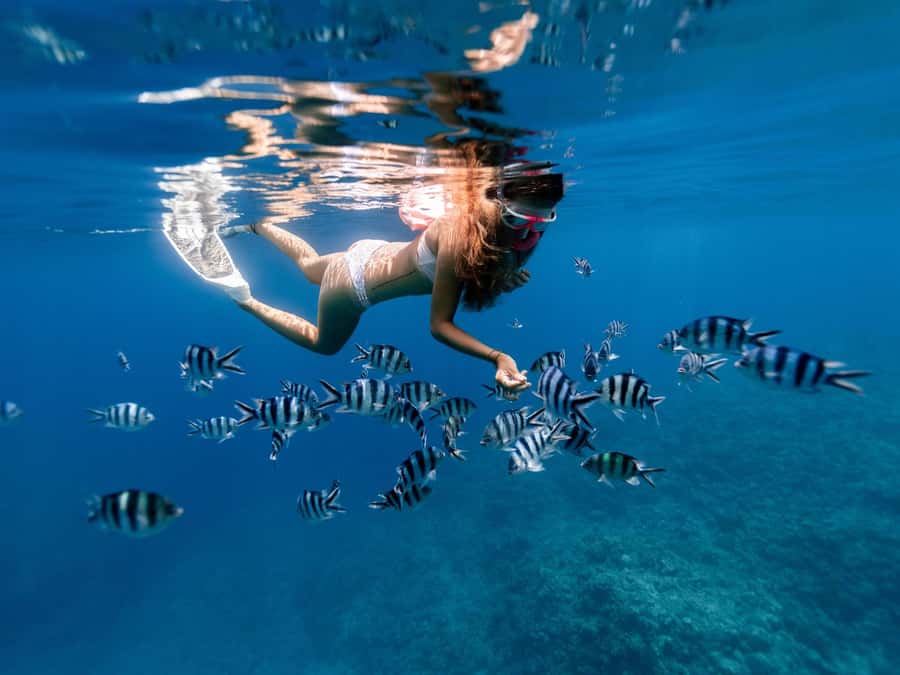 Bali: East Bali Hidden Gems. Exotic Beaches & Waterfalls. - Key points at a glance