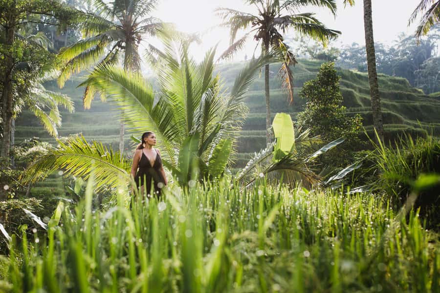 Bali : Explore Beauty of Ubud with 3 Best Tour Options - Ubud Palace and the market: Bali’s cultural heart