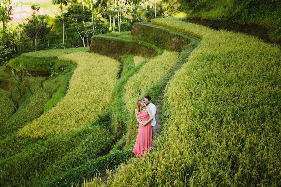 Bali : Explore Beauty of Ubud with 3 Best Tour Options - Waterfalls for a change of pace