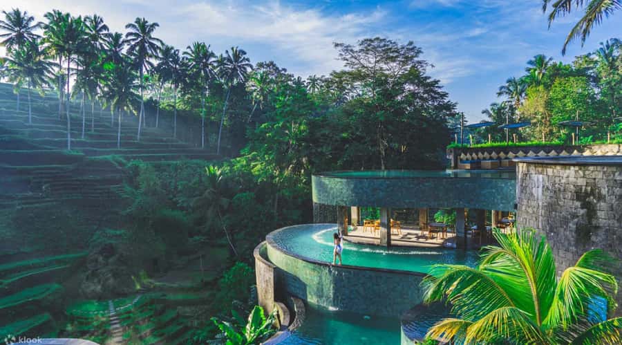Bali : Explore Beauty of Ubud with 3 Best Tour Options - Monkey Forests: Sangeh and Ubud are not the same choice