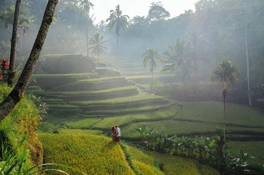 Bali : Explore Beauty of Ubud with 3 Best Tour Options - Taman Beji Griya and Tanah Lot for a slower day