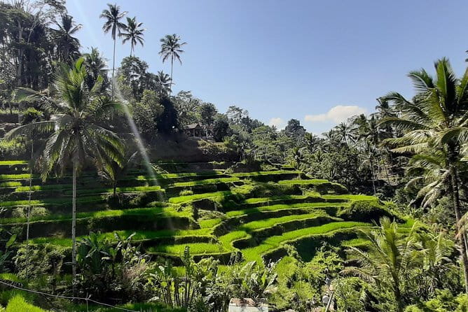 Bali Fishing Trip Private Boat - Who will enjoy this most