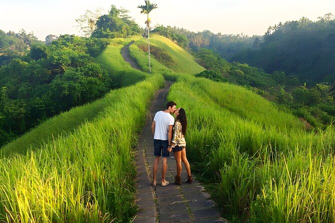 Bali Full-Day Car Charter: All About Ubud Village Trip Experience - Tegenungan Waterfall: Bali scenery with a busy edge
