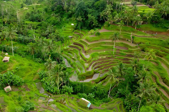 Bali Full-Day Car Charter: All About Ubud Village Trip Experience - Goa Gajah: stone carvings, fountains, and a meditation cave