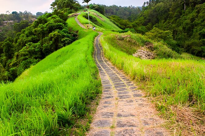 Bali Full-Day Car Charter: All About Ubud Village Trip Experience - Ubud Palace: a brief look at royal Bali