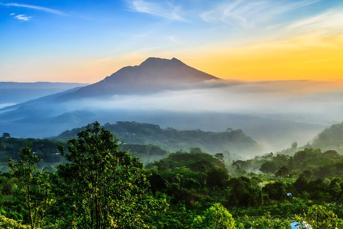 Bali Full-Day Car Charter: Ubud and Kintamani Volcano Tour - What this private Bali day is really trying to do