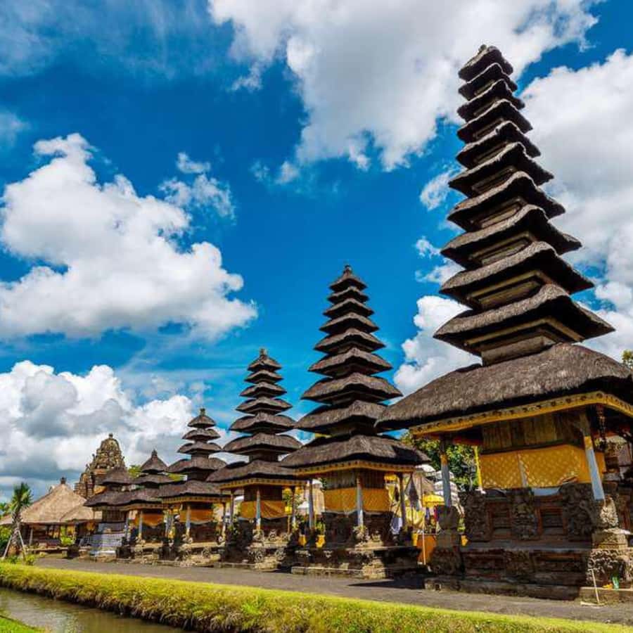 Bali : Full Day Denpasar City Tour - Key points at a glance