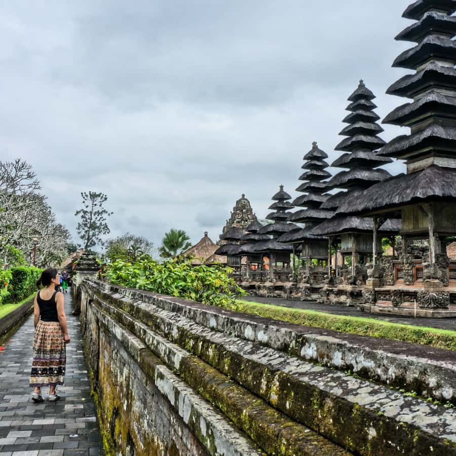 Bali : Full Day Denpasar City Tour - Why this 10-hour Denpasar tour is worth considering