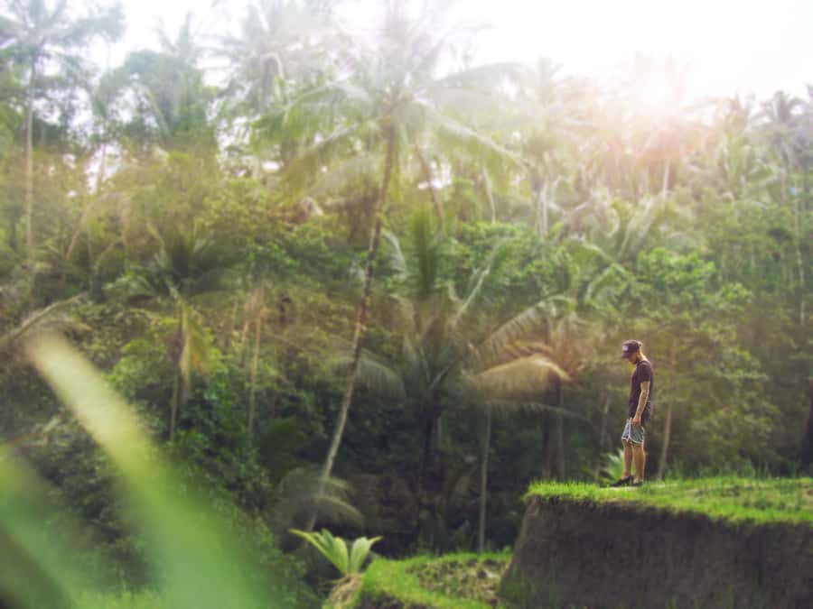 Bali: Full-Day Eat Pray Love Tour with Rice Terraces & Yoga - Yoga at Intuitive Flow: the quiet middle of the day