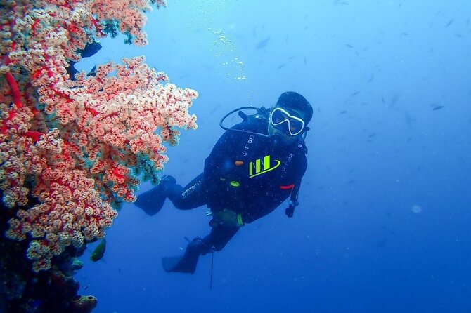 Bali Full Day Experience Scuba Diving Tour at Tulamben - Meeting at Noble Resort & Dive Center