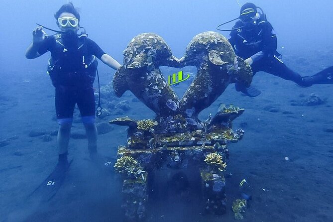 Bali Full Day Experience Scuba Diving Tour at Tulamben - What the $109.10 price includes