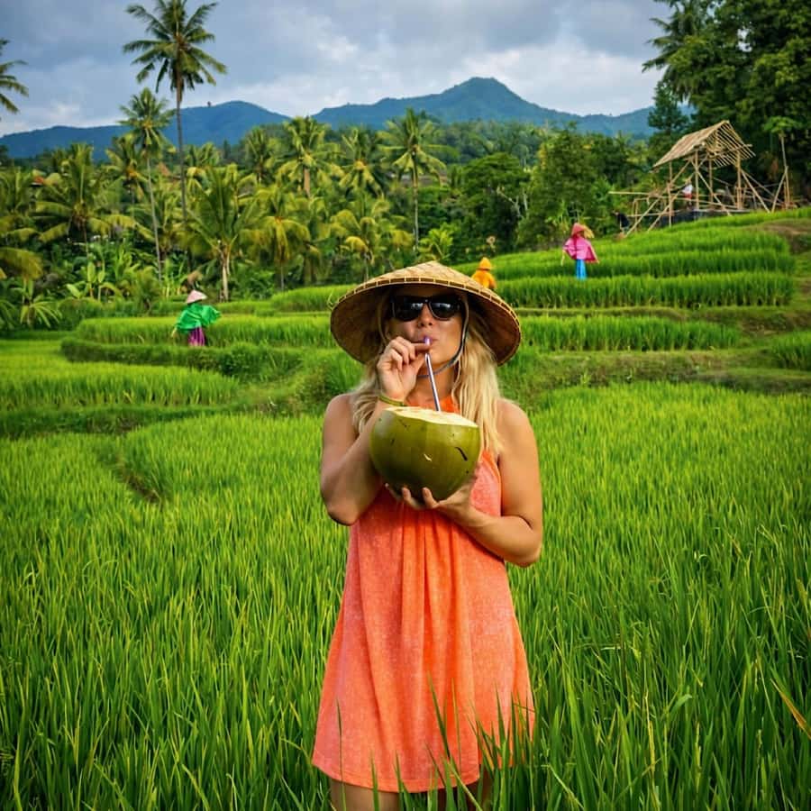 Bali: Full Day North Bali Private Customized Tour - Key points for planning your North Bali day