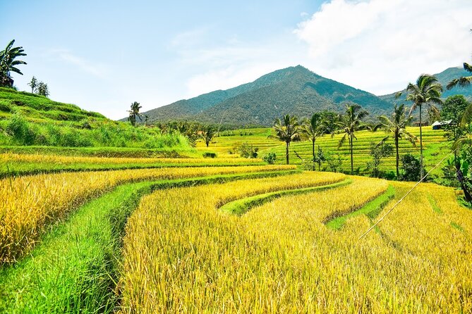 Bali Full-Day Private Customize Tour - Uluwatu Temple, a cliffside start in Bali’s south