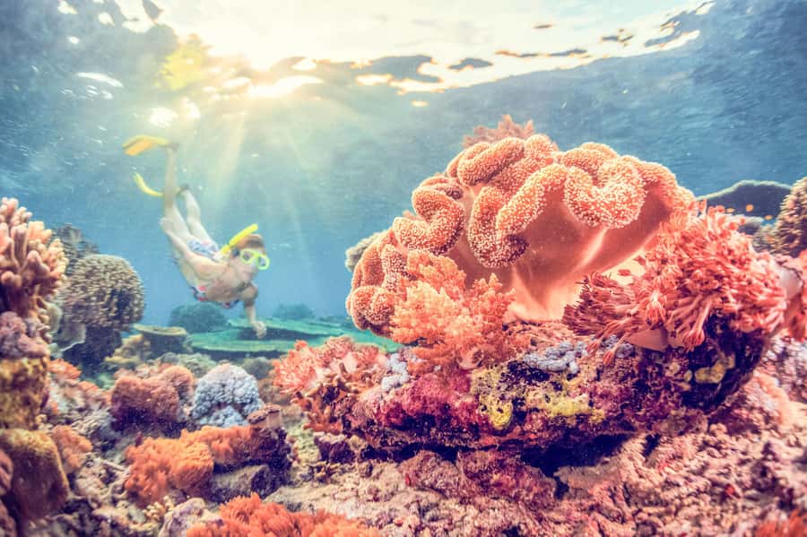Bali: Full-Day Snorkeling Trip to Nusa Penida & Manta Point - Why Manta Point makes this trip special